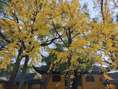 -西园戒幢律寺