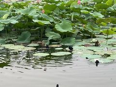 -太阳宫公园