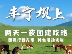 -丰宁坝上草原