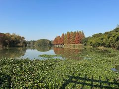 -艾溪湖湿地公园