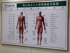 -通透堂中医·精准推拿(万科云城分院)
