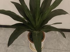 -觉藏茶社(博地影秀城店)