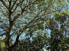 -福田红树林生态公园