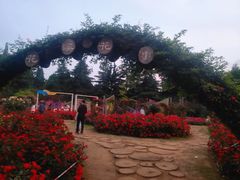 -花溪公园