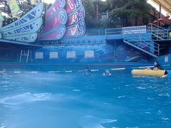 -杭州浪浪浪水公园