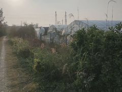 -菊园百果园