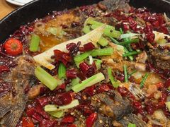 -老板恋上鱼(高新万达店)