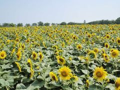 -苏州吴中太湖旅游区