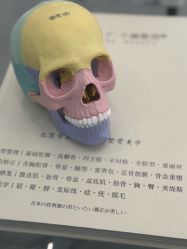 -菊子小颜·日式整骨·产后管理