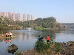 -重庆彩云湖湿地公园