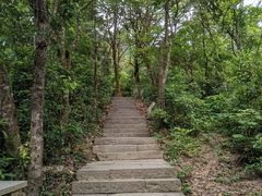 -梧桐山风景名胜区