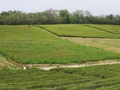 -宜兴龙背山森林公园