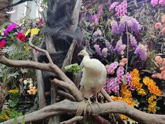 -正佳雨林生态植物园