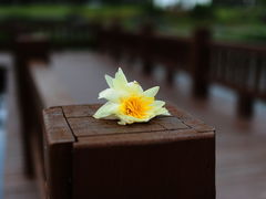 -上海海洋大学(临港校区)