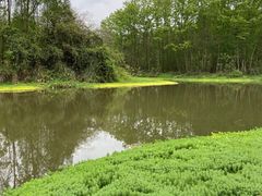 -桤木河湿地公园