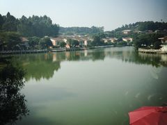 -明珠海港大酒店