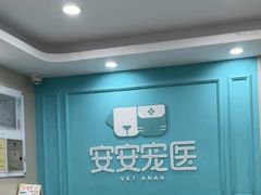 -安安宠医宠物医院·异宠·犬猫内科(岳阳分院)