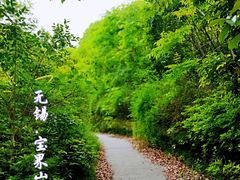 -宝界山林公园