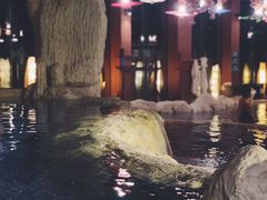 -中铁花水湾温泉酒店(大邑店)