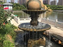 -菊园百果园