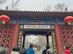 -大槐树寻根祭祖园
