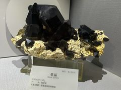 -湖南省地质博物馆