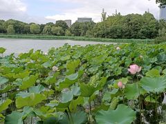 景点-金鸡湖景区