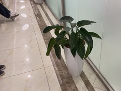 -圣贝口腔(海淀店)