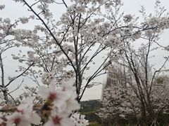 -宜兴龙背山森林公园