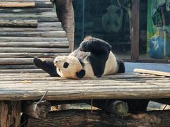 -南昌动物园