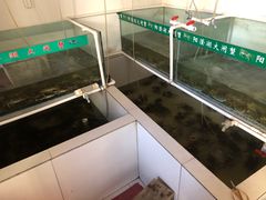 水产区-小陆莲花蟹园农家乐(莲花岛店)