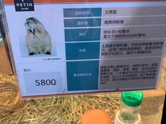 -宠物世家(仲盛世界商城店)