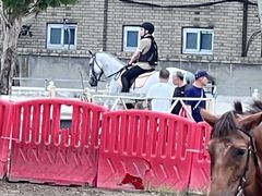 -北京群众马术培训基地