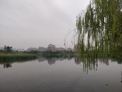 -武汉园博园(武汉自然博物馆)