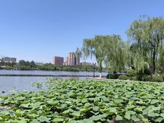 -济南大明湖景区