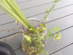 -她说户外烧烤团建(西湖店)