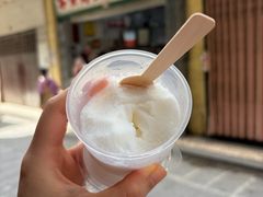 -洪馨椰子