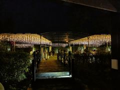 -三江森林温泉度假区