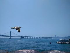 -星海广场