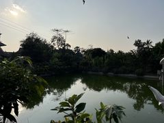 -西双版纳傣族园