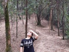 -火炉山森林公园