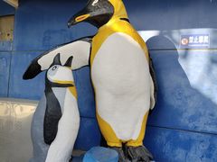 -太平洋海底世界