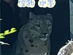 -青藏高原野生动物园