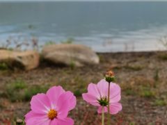 -丽江泸沽湖景区