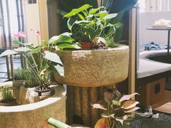 -梅间堂茶馆(绿地缤纷城店)