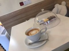 -滚猫咖啡·猫咖·猫友好撸猫(未来城店)