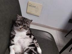 -满记甜品(苏州中心店)