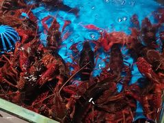 -加餐海鲜自助(宝龙一城店)