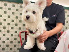 -堂瓦里·33年传统赣菜(第一街区店)