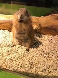 -未来动物城动物主题公园(大悦城店)